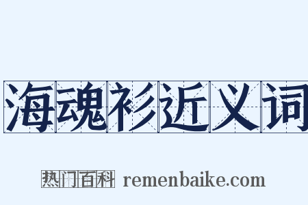 海魂衫近义词是什么意思的图片